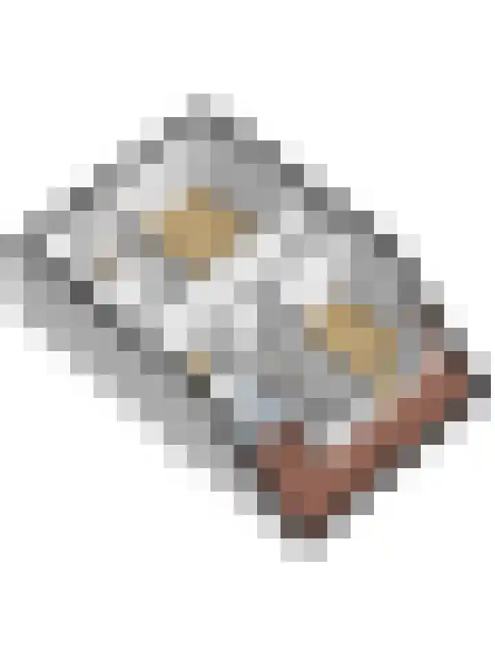 Bieselaar 26 's Gravenmoer thumbnail 48