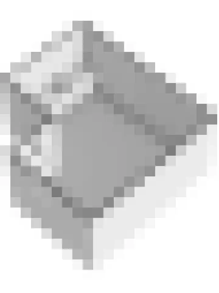 Bieselaar 26 's Gravenmoer thumbnail 50