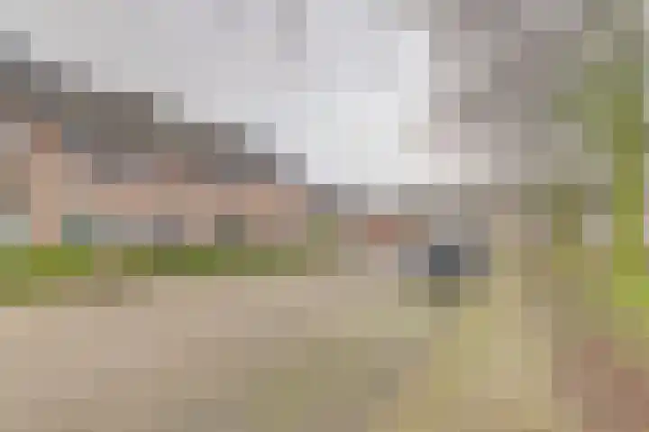 Bieselaar 26 's Gravenmoer thumbnail 6