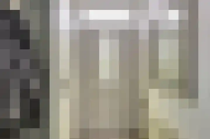 Bieselaar 26 's Gravenmoer thumbnail 8