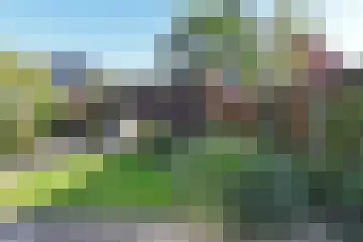 Bieskade 23 Den Haag thumbnail 14