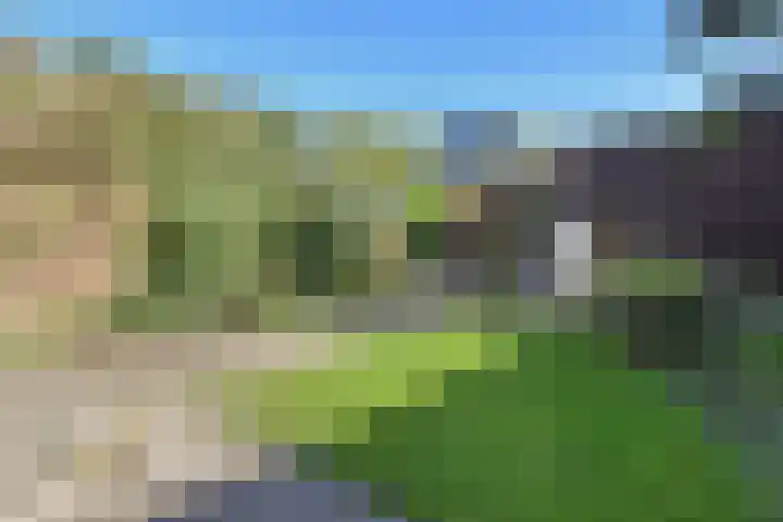 Bieskade 23 Den Haag thumbnail 15