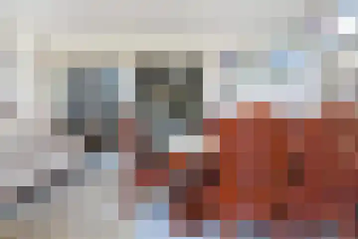 Bieskade 23 Den Haag thumbnail 20