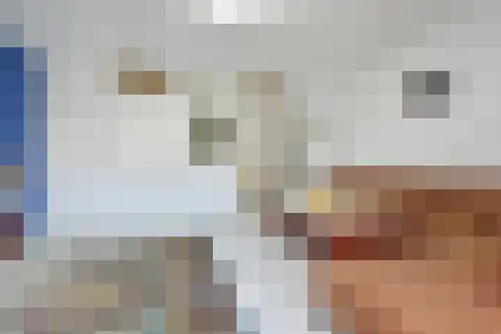 Bieskade 23 Den Haag thumbnail 22