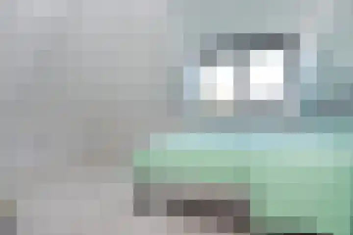 Bieskade 23 Den Haag thumbnail 38