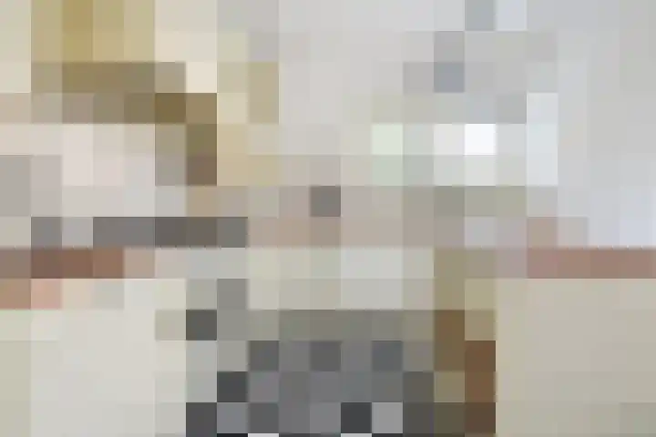 Bieskade 23 Den Haag thumbnail 4