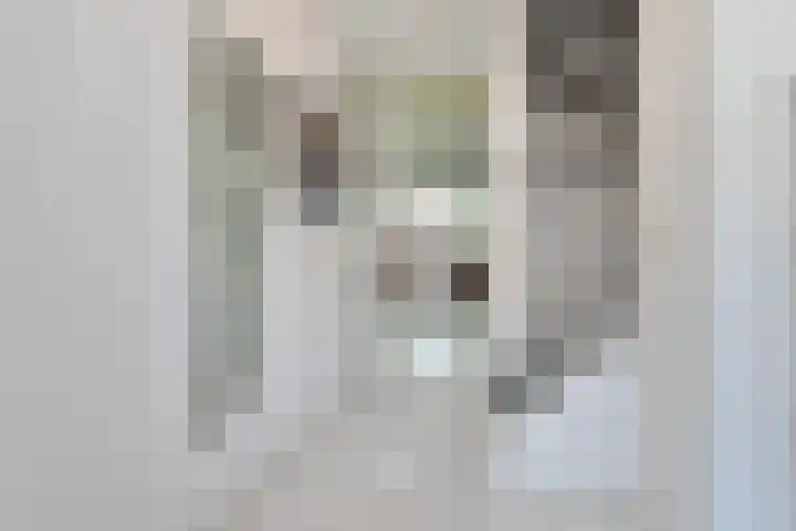 Bieskade 23 Den Haag thumbnail 7