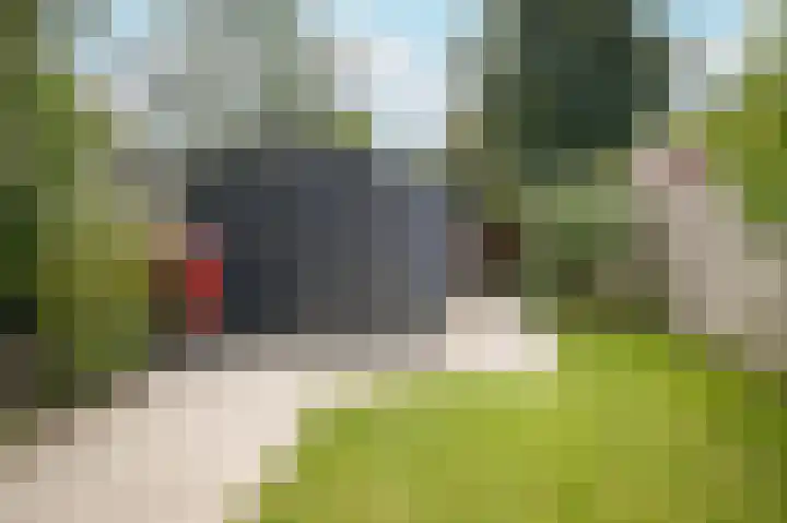 Bieskamp 116 Druten thumbnail 20