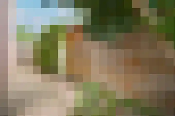 Bieskamp 116 Druten thumbnail 22