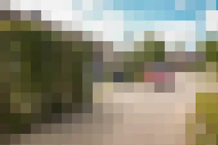 Bieskamp 116 Druten thumbnail 25