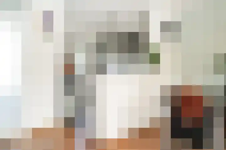 Bieskamp 116 Druten thumbnail 6