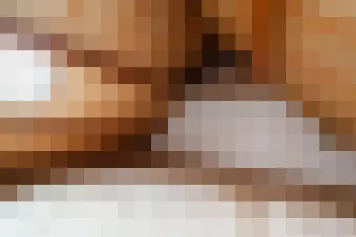 Bieskamp 32 Druten thumbnail 20