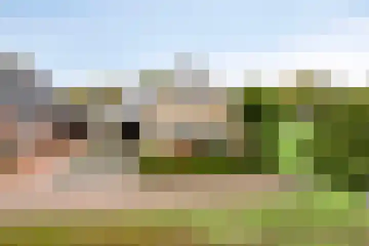 Bieskamp 32 Druten thumbnail 4