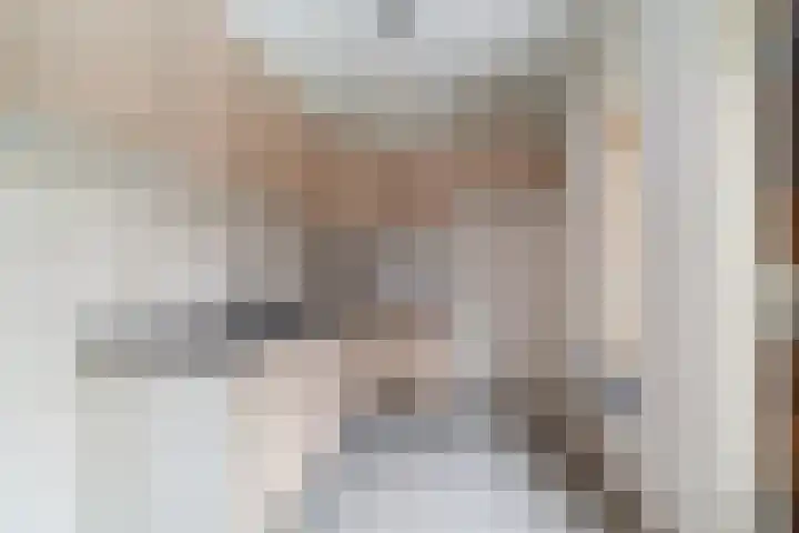 Bieskamp 32 Druten thumbnail 4