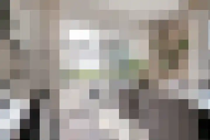 Bieskamp 9 Nieuwaal thumbnail 18