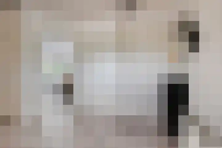 Bieskamp 9 Nieuwaal thumbnail 23