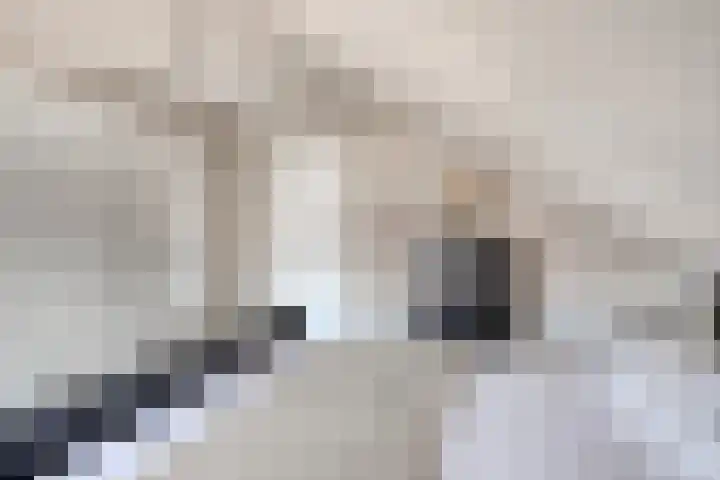 Bieskamp 9 Nieuwaal thumbnail 29