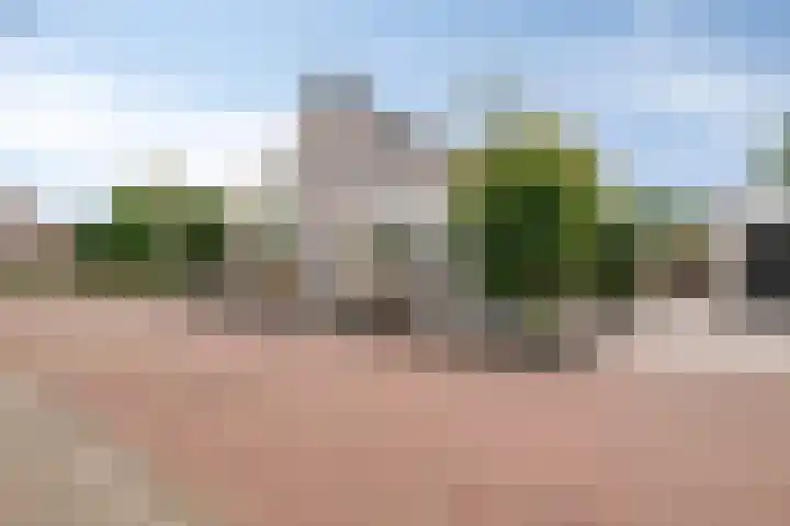 Bieskamp 9 Nieuwaal foto 3