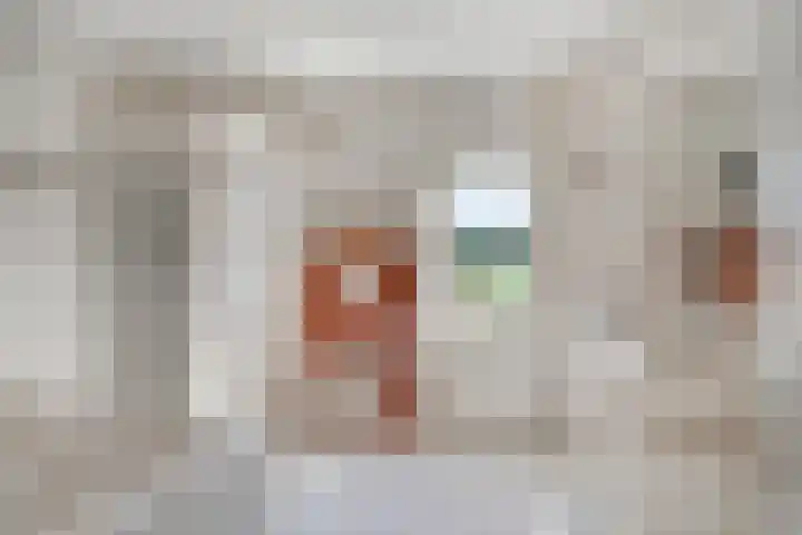 Bieskamp 9 Nieuwaal thumbnail 30
