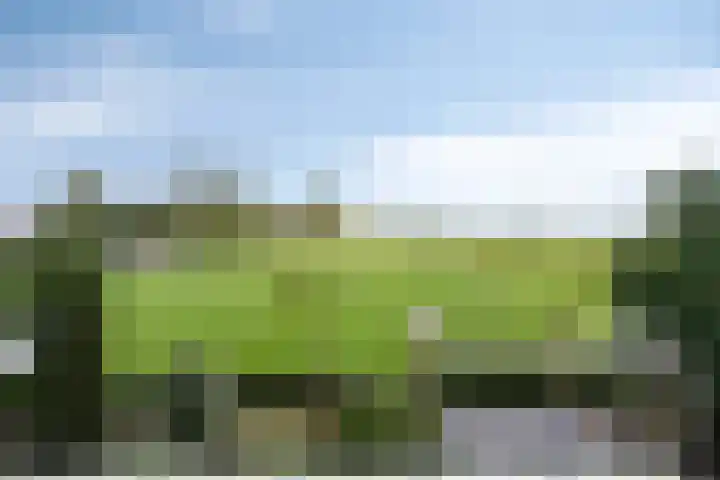 Bieskamp 9 Nieuwaal thumbnail 36