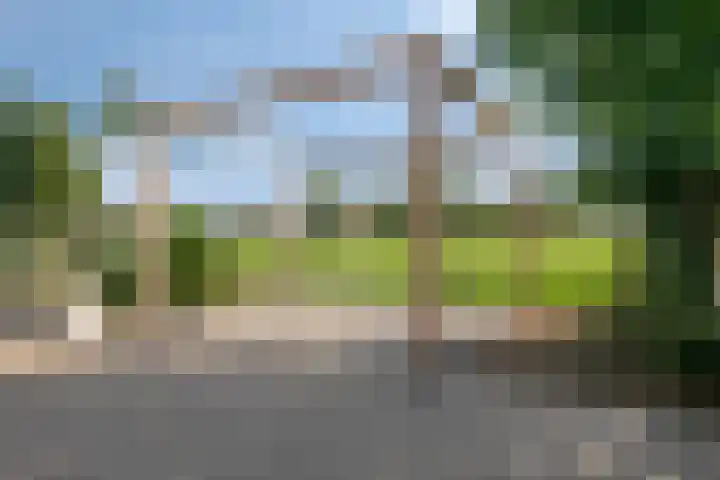 Bieskamp 9 Nieuwaal thumbnail 47