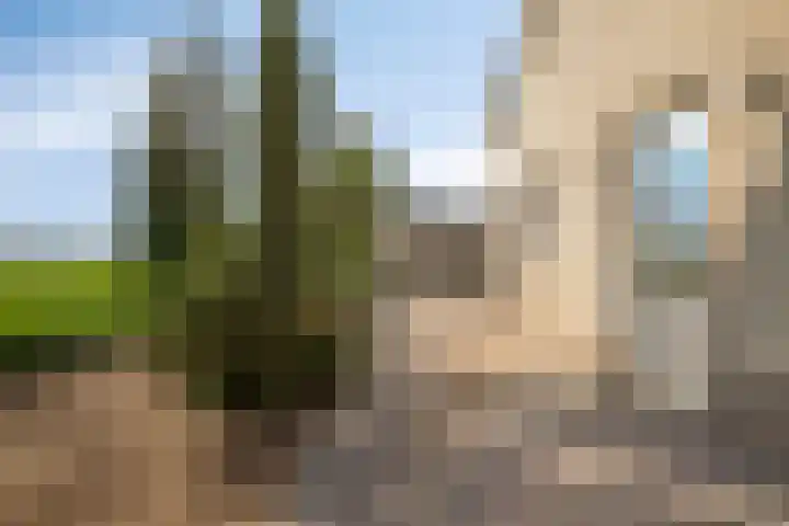 Bieskamp 9 Nieuwaal thumbnail 52
