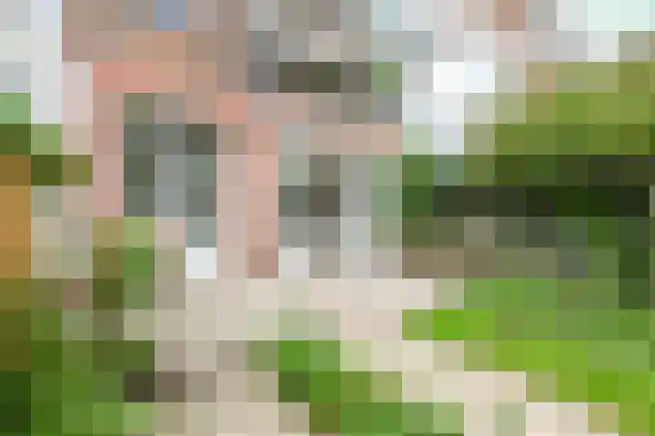Bieskamp 9 Nieuwaal thumbnail 6