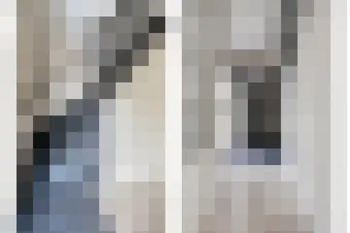 Bieskamp 9 Nieuwaal thumbnail 8