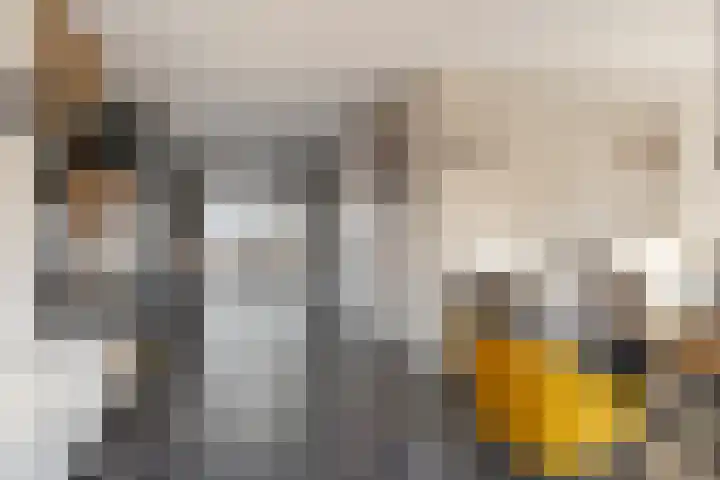 Bieslook 14 Noordscheschut thumbnail 10