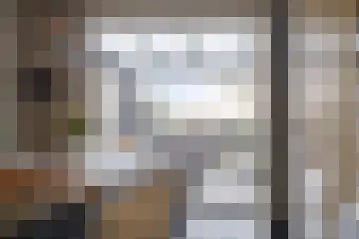 Bieslook 14 Noordscheschut thumbnail 13