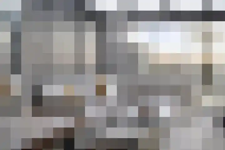 Bieslook 14 Noordscheschut thumbnail 14