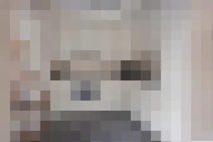 Bieslook 14 Noordscheschut thumbnail 17