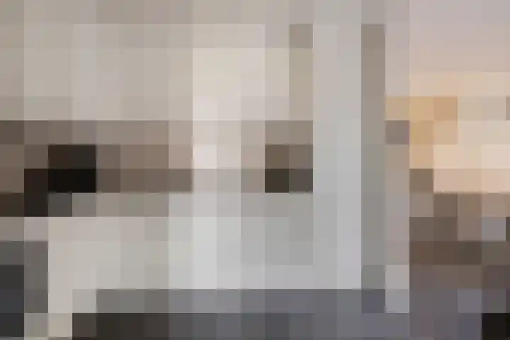 Bieslook 14 Noordscheschut thumbnail 18