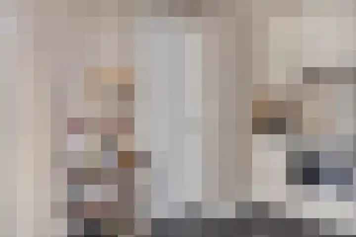 Bieslook 14 Noordscheschut thumbnail 19