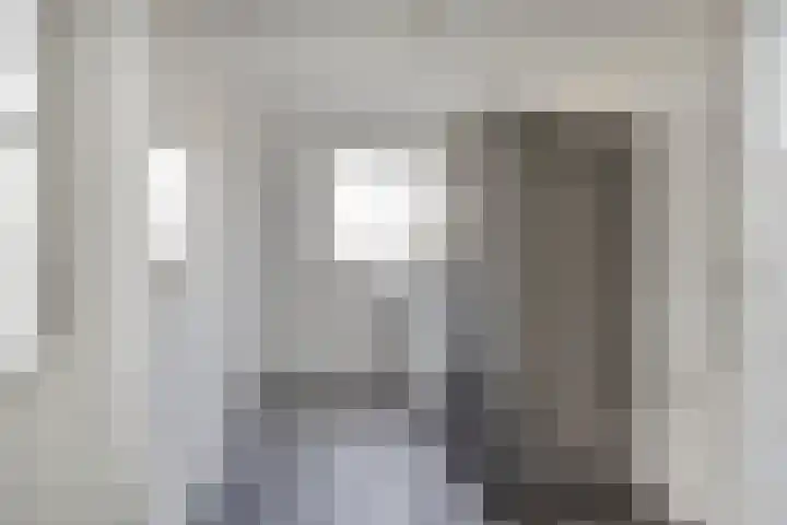 Bieslook 14 Noordscheschut thumbnail 20