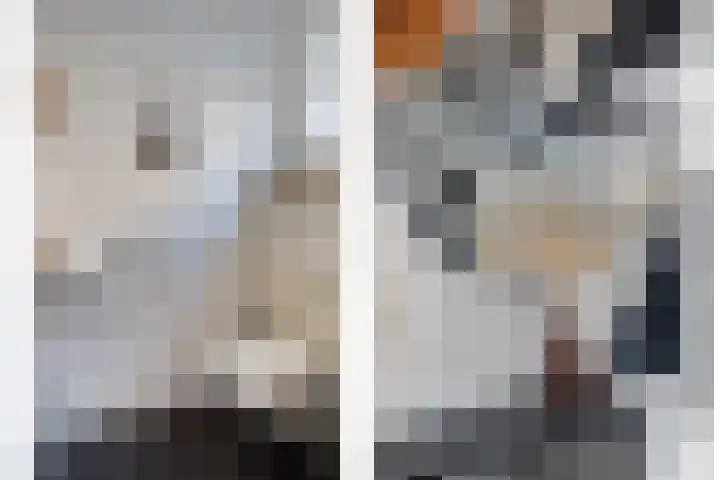Bieslook 14 Noordscheschut thumbnail 22