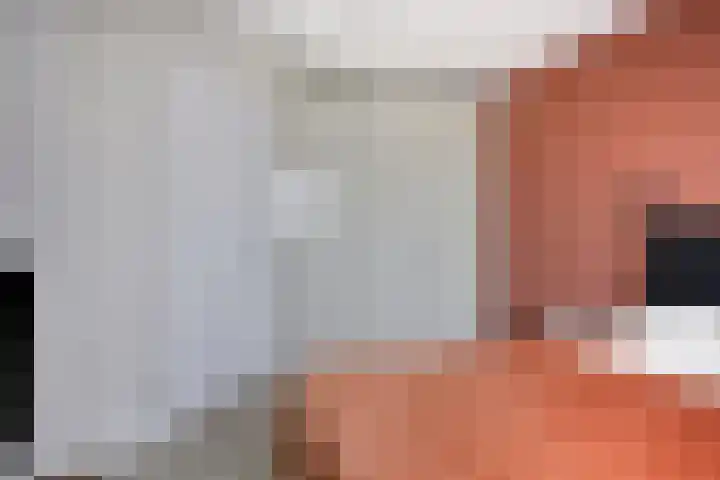Bieslook 14 Noordscheschut thumbnail 27