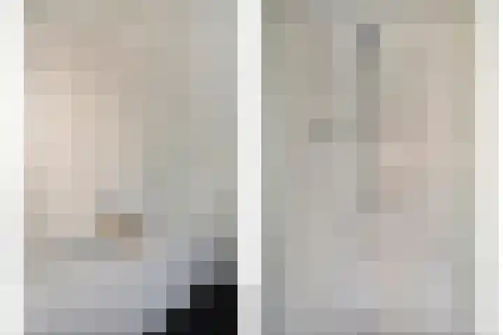 Bieslook 14 Noordscheschut thumbnail 29