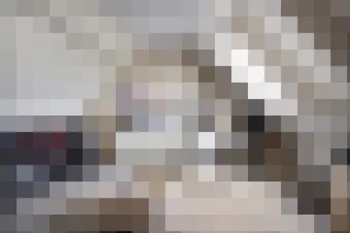Bieslook 14 Noordscheschut thumbnail 36