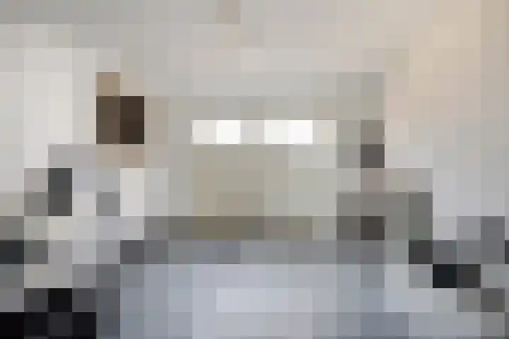 Bieslook 14 Noordscheschut thumbnail 37