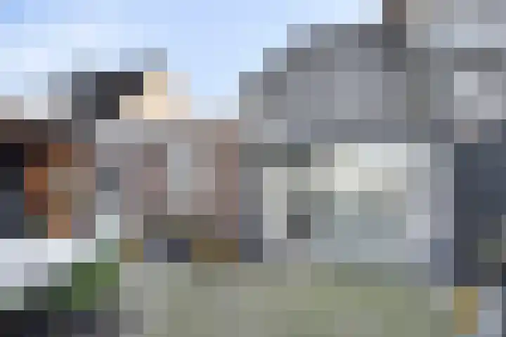 Bieslook 14 Noordscheschut thumbnail 38