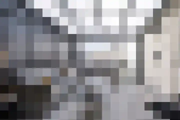 Bieslook 14 Noordscheschut thumbnail 40