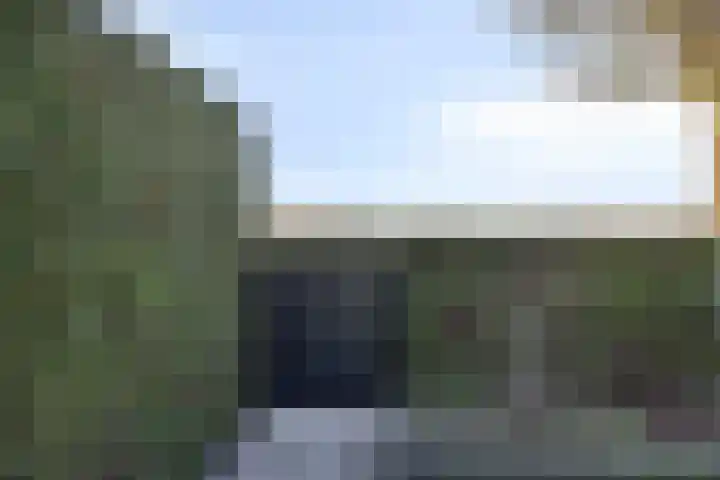 Bieslook 14 Noordscheschut thumbnail 42