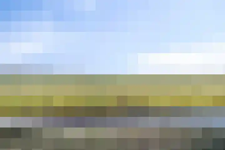 Bieslook 14 Noordscheschut thumbnail 43
