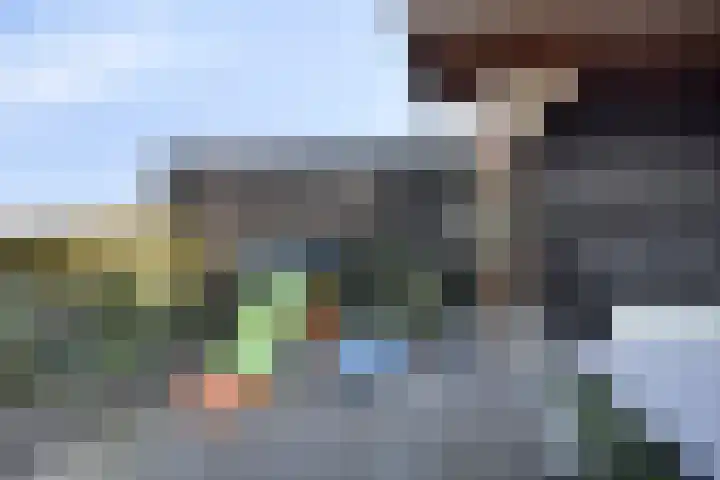 Bieslook 14 Noordscheschut thumbnail 44
