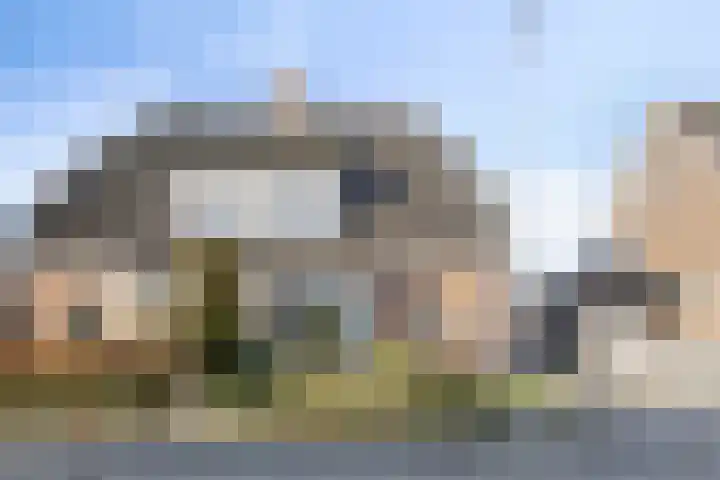 Bieslook 14 Noordscheschut thumbnail 46