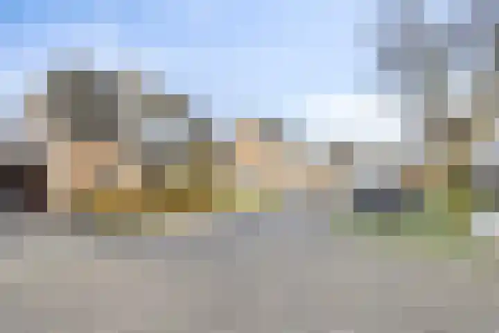 Bieslook 14 Noordscheschut thumbnail 48