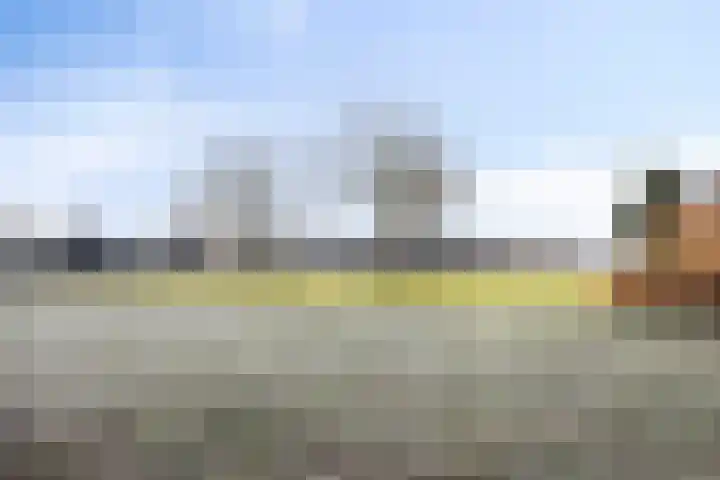 Bieslook 14 Noordscheschut thumbnail 49