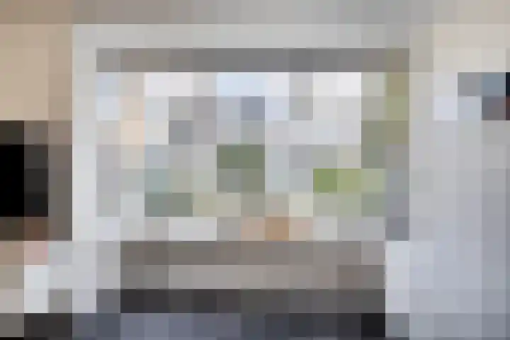 Bieslook 14 Noordscheschut thumbnail 7