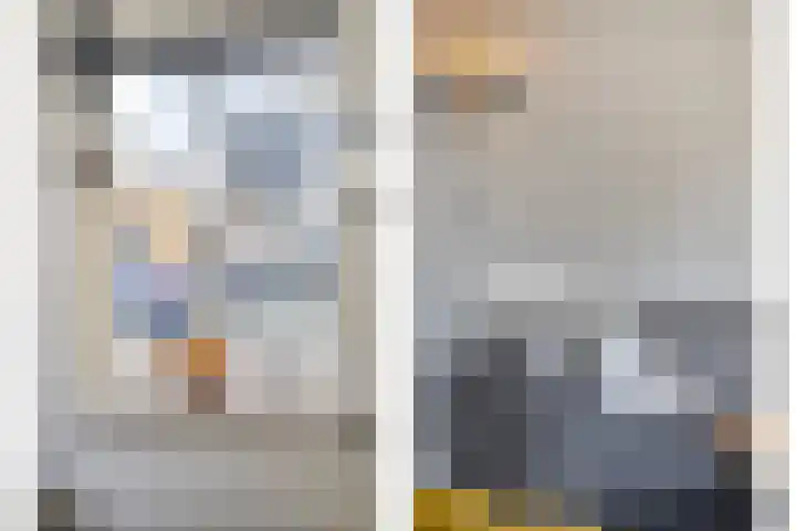Bieslook 14 Noordscheschut thumbnail 9